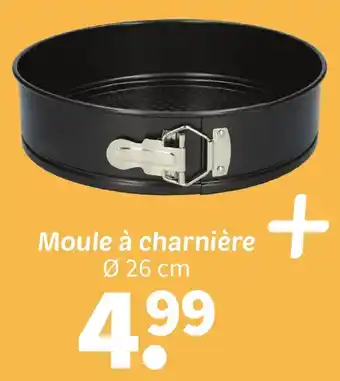 Moule à charnière
