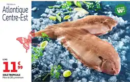 Auchan Sole tropicale offre