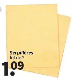 Wibra Serpillères lot de 2 offre
