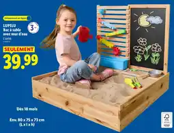 Lidl Lupilu Bac à sable avec mur d'eau offre