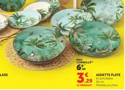 Bi1 Assiette plate offre
