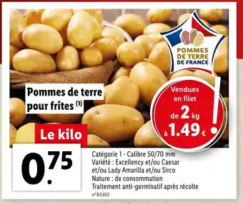 Lidl Pommes de terre pour frites offre