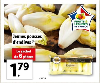 Lidl Jeunes pousses d'endives offre
