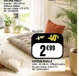 La Foir'Fouille Coussin maelle offre