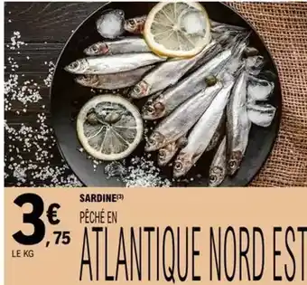 E.Leclerc Sardine offre