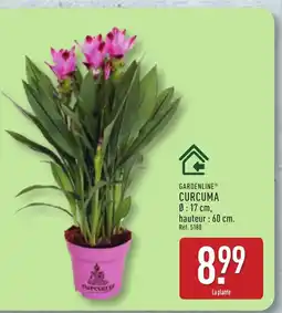 ALDI GARDENLINE Curcuma offre