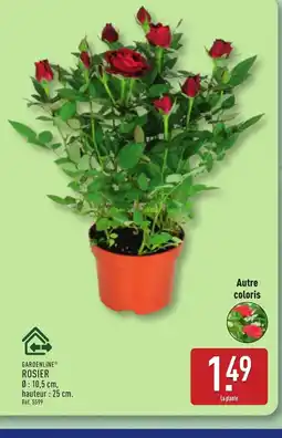 ALDI GARDENLINE Rosier offre