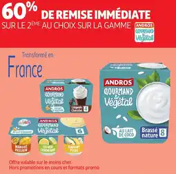Auchan Andros gourmand végétal offre