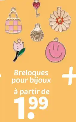 Wibra Breloques pour bijoux offre