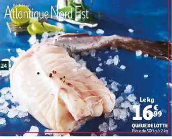 Auchan Queue de lotte offre