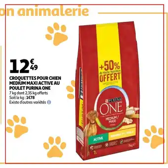 Auchan Croquettes pour chien medium maxi active au offre
