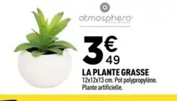Centrakor La plante grasse offre