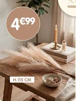b&m Tiges pampa artificielles offre