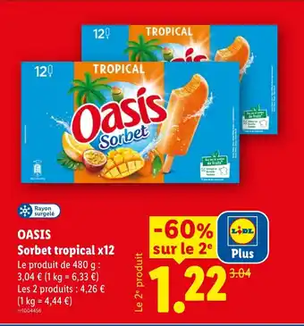 OASIS Sorbet tropical x12