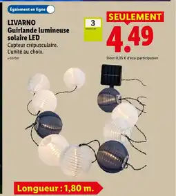 Lidl LIVARNO Guirlande lumineuse solaire LED offre
