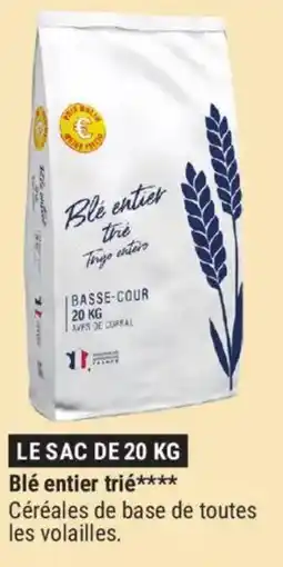 Gamm vert Blé entier trié offre