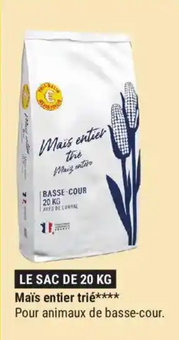 Gamm vert Maïs entier trié offre
