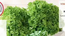 Super U Salade batavia offre
