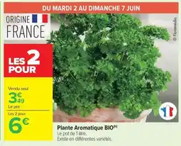 Carrefour Market Plante aromatique bio offre
