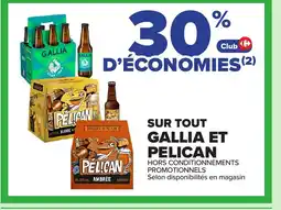 Carrefour GALLIA ET PELICAN offre
