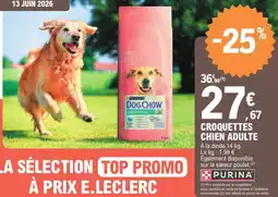 E.Leclerc Croquettes chien adulte offre