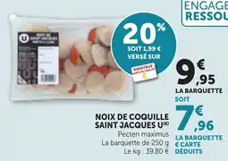 Bi1 Noix de coquille saint jacques u offre