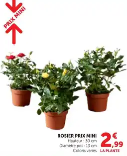Bi1 Rosier prix mini offre
