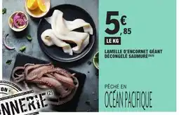 E.Leclerc Lamelle d'encornet géant décongelé saumuré offre