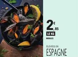 E.Leclerc Moules offre