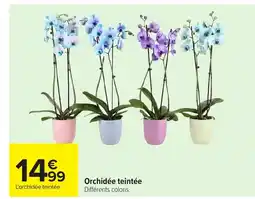 Carrefour Orchidée teintée offre