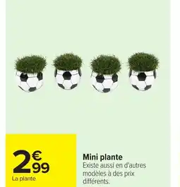 Carrefour Mini plante offre