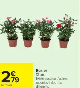Carrefour Rosier offre