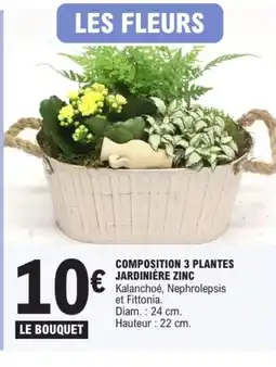 E.Leclerc Composition 3 plantes jardinière zinc offre