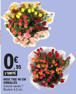 E.Leclerc Rose tige emballée offre