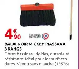Rural Master Balai noir mickey piassava 3 rangs offre