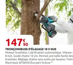Rural Master Tronçonneuse d'élagage 18 v nue offre
