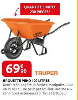 Rural Master Truper brouette pehd 100 litres offre