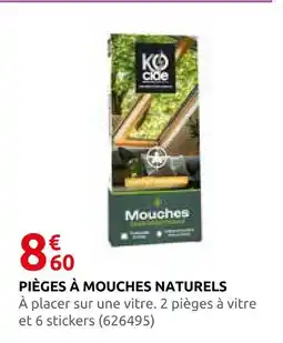 Rural Master Pièges à mouches naturels offre