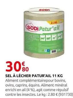 Rural Master Sodi sel à lécher patur'ail 11 kg offre