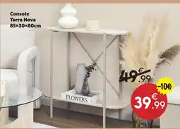 Maxi Bazar Console terra nova offre