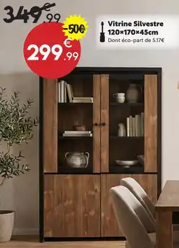 Maxi Bazar Vitrine silvestre offre