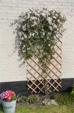 Auchan Nature treillis extensible en bois naturel offre