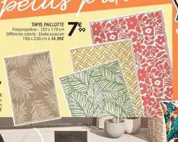 La Foir'Fouille Tapis paillotte offre