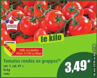 Norma Tomates rondes en grappes offre