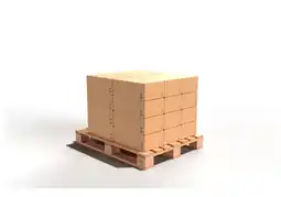 Brico Dépôt Malette de 600 vis bois offre