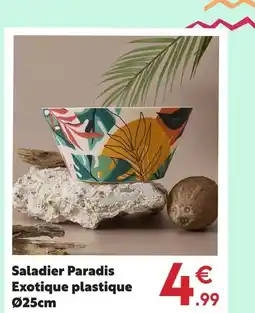 Maxi Bazar Saladier paradis exotique plastique offre