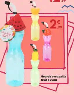 Maxi Bazar Gourde avec paille fruit offre