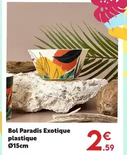 Maxi Bazar Bol paradis exotique plastique offre