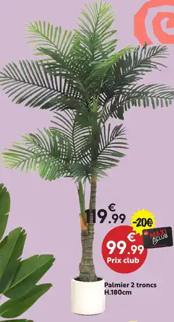 Maxi Bazar Palmier 2 troncs offre