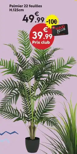 Maxi Bazar Palmier 22 feuilles offre